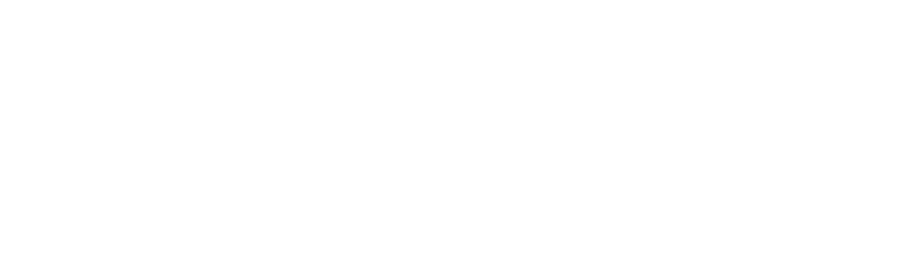 Grupo Bridger
